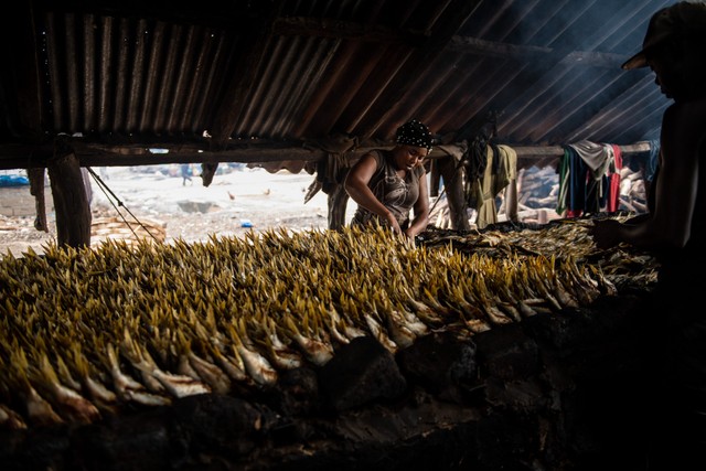 People sorting dead fish