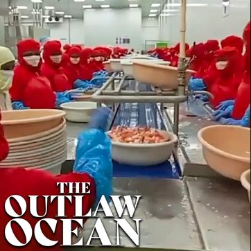 The Shrimp Factory Whistleblower, episode 5 of The Outlaw Ocean podcast by Ian Urbina