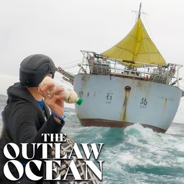 The Hidden Cost of Seafood (China Pt. 2), episode 7 of The Outlaw Ocean podcast by Ian Urbina